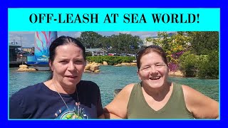 Episode 84 - Our Relaxing Trip to Sea World in Orlando, Florida.