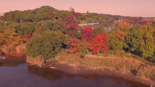 Heiwa park, Cemetery, Fall Leaves and Kai on the bike.