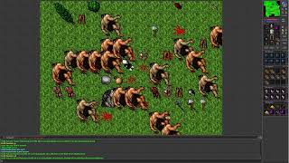 Tibia 7.4 (Level 48 Paladin hunts in Plains of Havoc and begins Orc Fortress Quest)