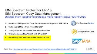 IBM SP for ERP & CDM with SAP Hana – Rapidly restoring and recovering SAP HANA - Demo