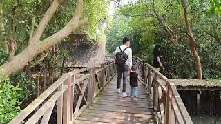 WISATA ALAM HUTAN MANGROVE PIK2 JAKARTA | Tempat Rekreasi di Jakarta