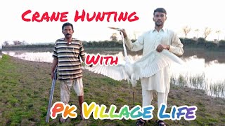 Crane Hunting کونج کا شکار/White crane hunting/Hunting 2023/new Shiker he Shiker/Hunting ON