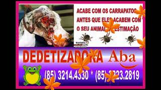 DEDETIZAÇÃO EM CONDOMINIO CAUCAIA (85) 3214.4330