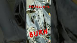 Burn/HARNESS WIRE