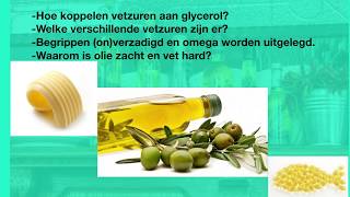 lipiden, vet, olie