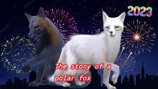 The story of a polar fox ☆2023 special☆