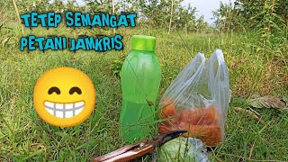 TETAP SEMANGAT PARA PETANI JAMKRIS 😁