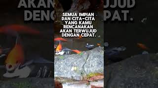 Arti mimpi ikan mas