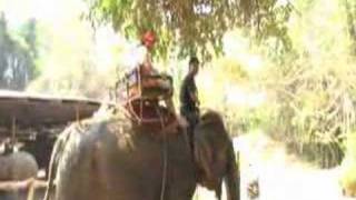 Saiyok Elephant park - Kanchanaburi Thailand