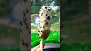 Ice cream magnum full cream