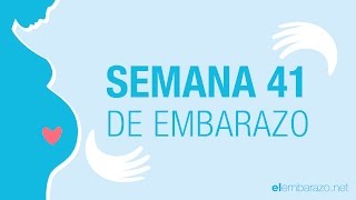 Semana 41 de embarazo | 41 semanas de embarazo | El embarazo semana a semana