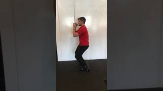 Tempo squats