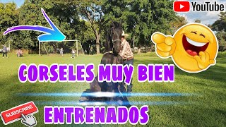 En el cuartel DM7 👉😃lindos caballos 🐎 💕