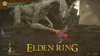 [Elden Ring] Crumbling Farum Azula Dragon 3/5 | No Damage | 2024