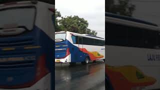 Bis LAJU PRIMA jetbus 3 | Jakarta - Bojonegoro #bismaniacommunity #videoshort