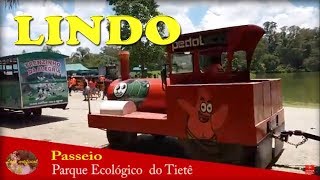 Parque Ecológico do Tietê - Passeio no parque ecologico tiete