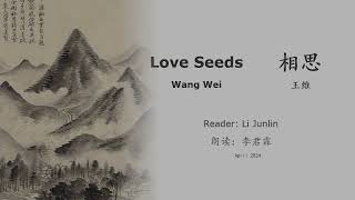 真人 童声朗读 汉英双语 相思  王维 Love Seeds