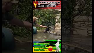 🥰  Волонтери рятують песека