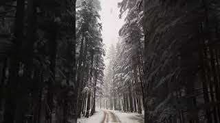 Beautiful Snowfall view in northern areas of Pakistan #shorts#viral#video#youtubeshorts#snow