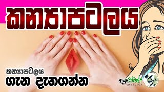 කන්‍යා පටලය | The Hymen | AYUBOWAN ආයුබෝවන් | MLT Anushika Perera