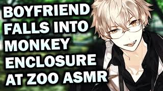 Boyfriend Falls Into Monkey Enclosure At Zoo ASMR [M4F] [Boyfriend ASMR]