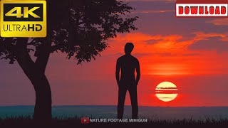 🎁4K The man stand near the tree against the bright sunset real wide angle | DAILY NATURE FOOTAGE