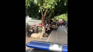 Sapi kurban ngamuk polisi