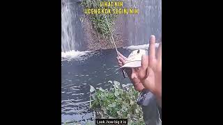 Mancing Plung Nyutt Cepet Banget / Fast Fishing Strikes #Shorts