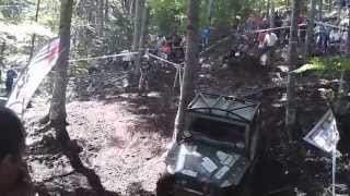 trial tg-mures 2013