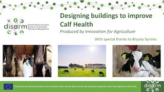 Designing Buildings to Improve Calf Health