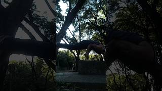 Air #planche in open space 34 kilos pra cada braço