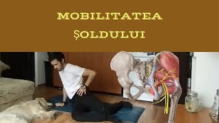 7 exerciții pentru mobilitatea șoldurilor