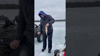 Catching bass through the ice