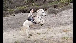 Riding Horses on Gravel with Cavallo Hoof Boots!