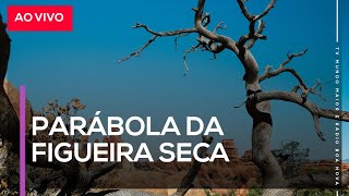 MEDIUNIDADE E FIGUEIRA SECA