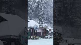 Beautiful Visuals of heavy Snowfall from Pahalgam #kashmir #kashmirheaven #kashmirtourism