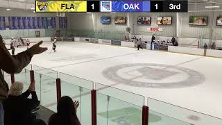 U14AA Goal