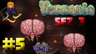 Terraria Romania 1.3.5.3 - Brain of Cthulhu si Armura de Crimson | Episodul 5 [Sez.3]