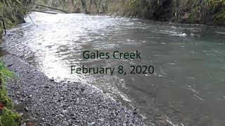 Floating a Stream in Winter (Feb 2020)