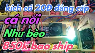 gửi kích cá 20Đ 850k bao ship đẳng cấp là mãi mãi [ thuận thích chế tạo ]