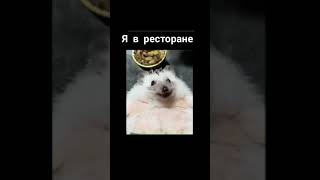 я в ресторане