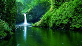 Beautiful Water Fall | Earth's Splendor