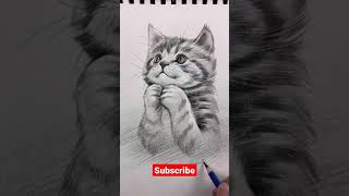 Cat Pencil Sketch #shorts #sktech #cat #youtubeshort