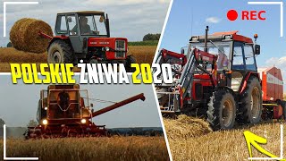 ☆ POLSKIE ŻNIWA 2020 ☆ BIZON W AKCJI! ☆ 50 BEL Z HA!? ☆ ZETOR 7340, URSUS C-360, BIZON Z056☆