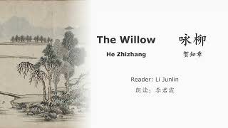 真人 童声朗读 汉英双语 贺知章 咏柳 The Willow