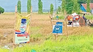 Penampakan Mesin Pemanen Padi Petani Di Desa Mulyasari Majenang Cilacap