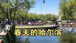 春天  哈尔滨  马家沟  人………