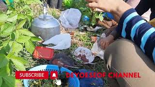 INI YANG DI KANGENIN DI SAWAH MAKAN BARENG IBU-IBU PETANI.