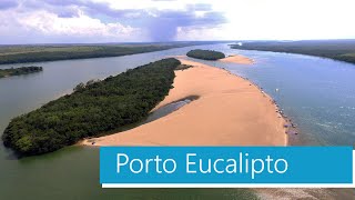 Porto Eucalipto