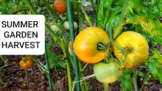 Summer garden harvest - cook with me easy lauki recipe